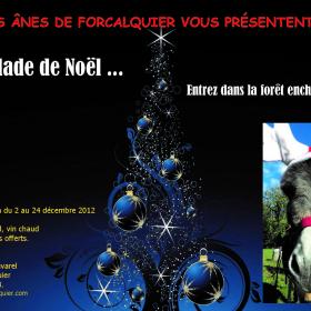 La balade de Noël ... Entrez dans la forêt enchantée!