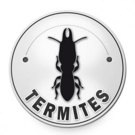 Diagnostic TERMITES (appartement de 100m² environs)