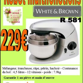 robot multifonction R 581