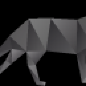 Le nécessaire pour le chat