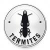 Diagnostic TERMITES (appartement de 100m² environs)