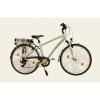 Velo VTC mixte batterie 36V 11ah
