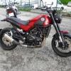 BENELLI 500 LEONCINO